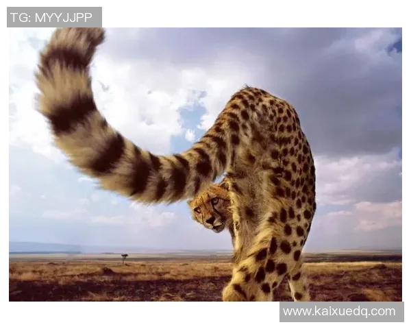 偶遇足球明星的奇妙瞬间记录与分享让我们一起感受他们的魅力与热情