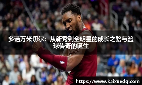 PA视讯
