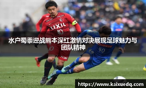PA视讯APP