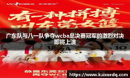 PA视讯官网