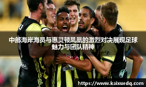 PA视讯平台