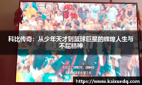 PA视讯官网